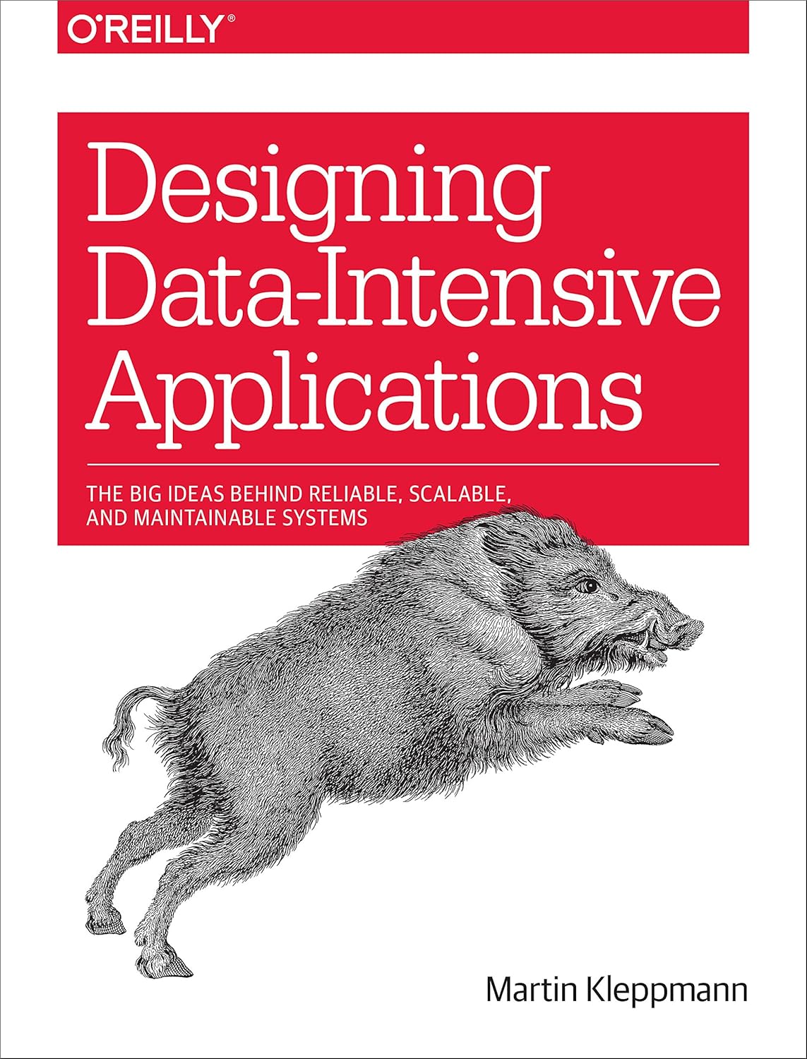 Photo of Designing Data-Intensive Applications